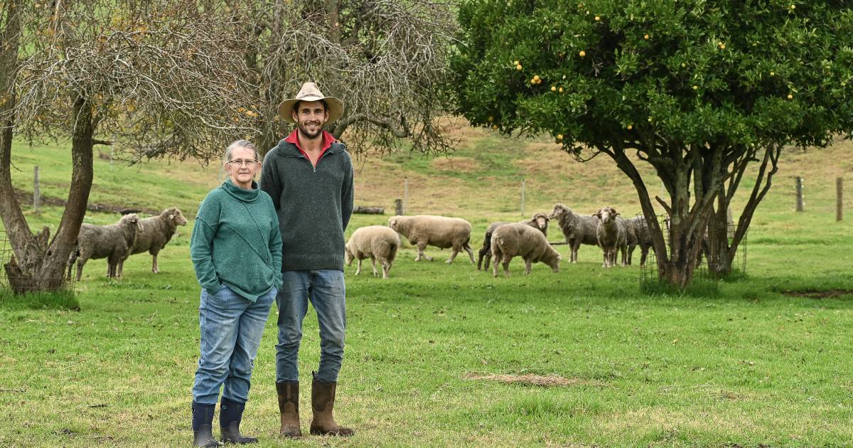 Merinos locked in for the long-term