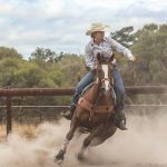 Shearing honour board revealed at Winton Wool Museum | Queensland Country Life