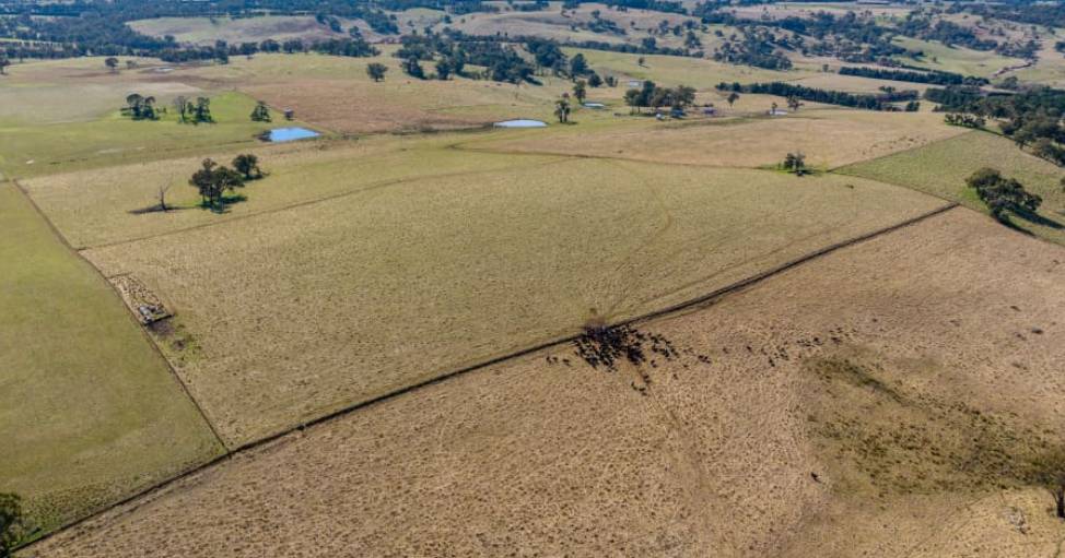 Vacant Central Tablelands country hits $11,000/acre | Video