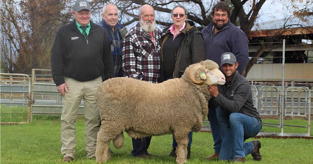 Repeat buyers secured top-price rams at Westray and Genanegie’s on-property Merino sale, which set new records for the stud. | The Land