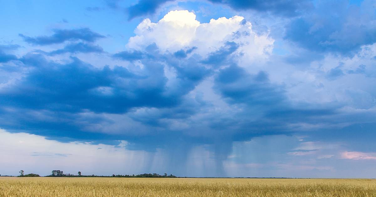 Richmond weather radar completed, rainfall gauges to be installed | North Queensland Register