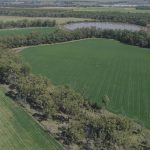 Canegrowers' frustration builds as local mill delays crush