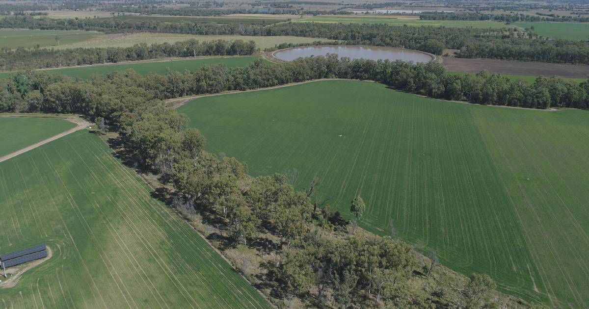 Sun powered Callide Valley irrigation