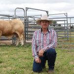 Queensland's sixth Australian White Ram sale up on 2021 results