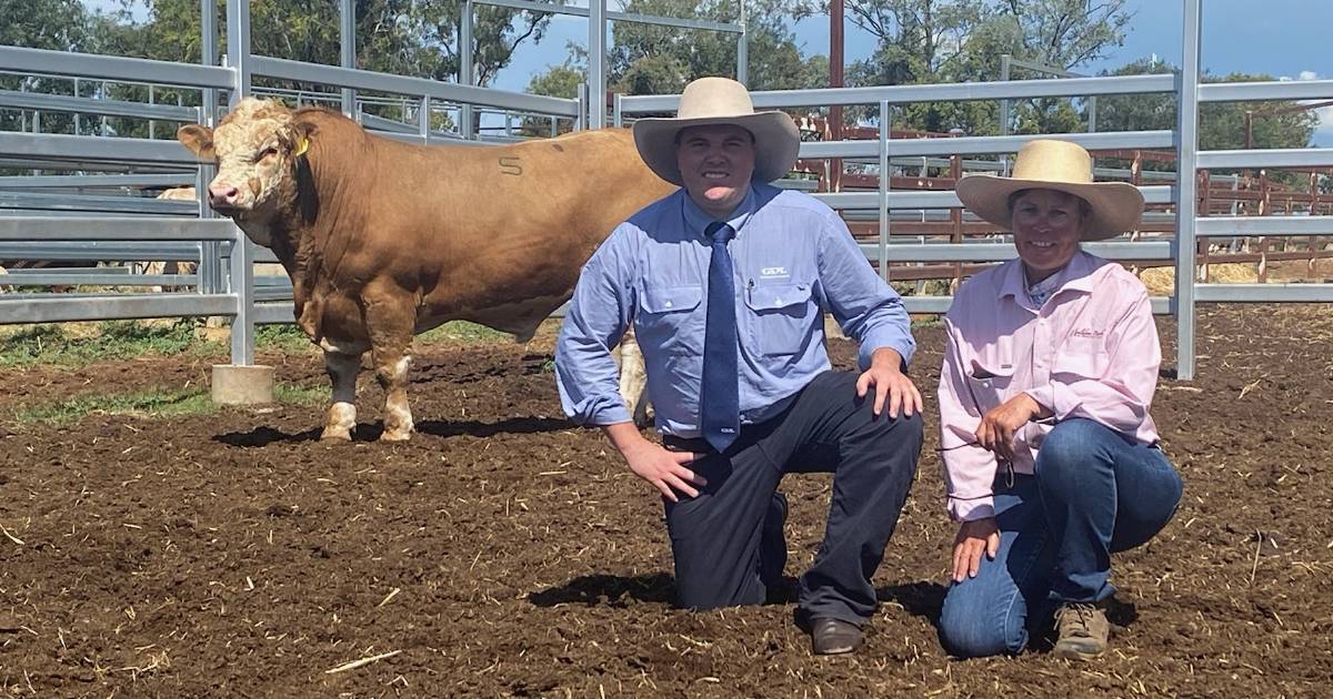 Meldon Park reaches $32,500 as top bull heads to Texas