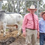 Annual Lewisdale sale tops at $18,000 | Farm Weekly