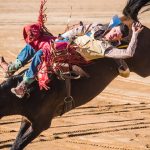 Beef Spectacular Feedback Trial underway at Teys Jindalee Feedlot | The Land