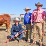 Greenup Eidsvold Station Santa Gertrudis bull sale well supported by long-term, repeat clients as far as WA | Queensland Country Life