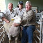 Carabar Angus stud’s 2022 sale reaches top of $28,000 twice | Queensland Country Life