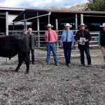 Stars align for Broadwater Angus stud's first bull sale