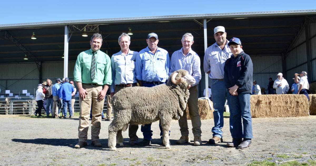 Demondrille Merinos sells its sale-topper to a Monaro stud