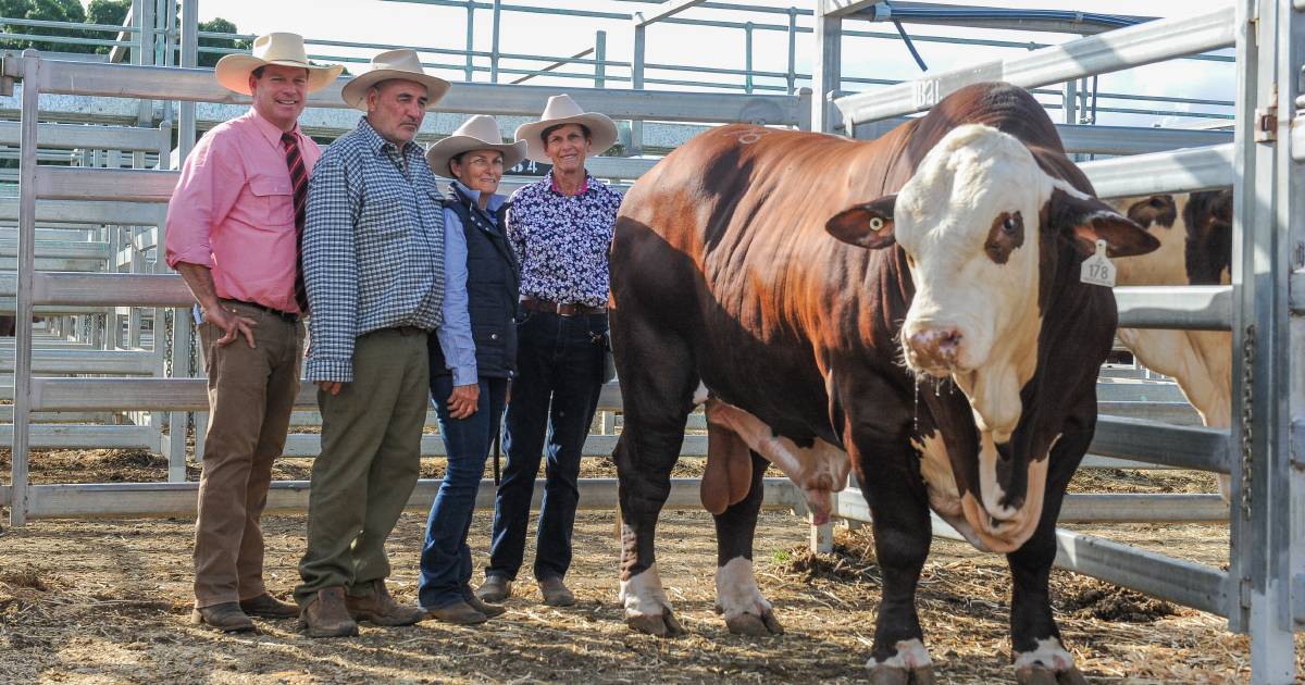 National Braford Sale tops at $48,000 four times