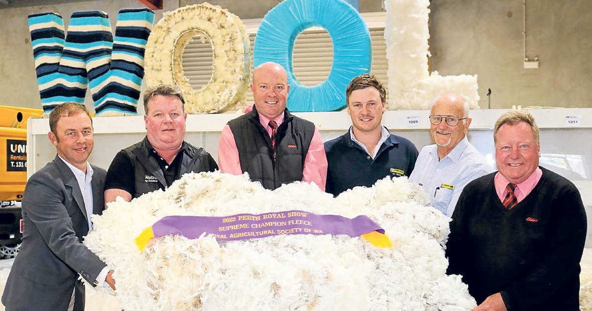 Auburn Valley wins Perth Royal Show Supreme fleece award | Farm Weekly