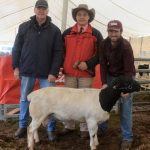 Top conditions reflected in Chapman Valley sale