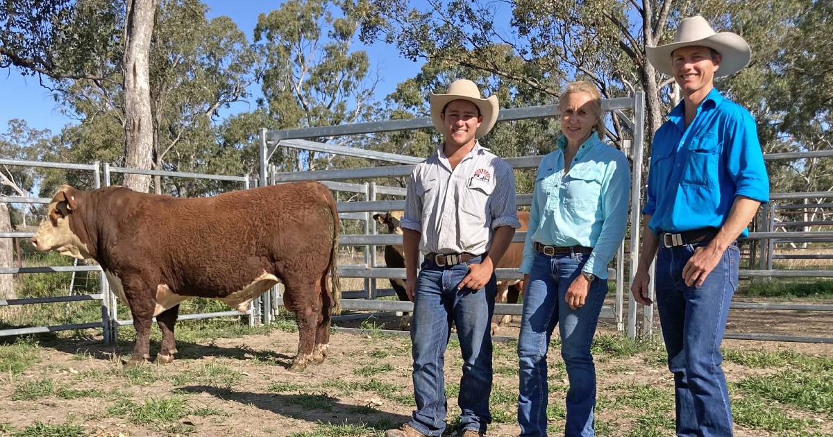 Binara Poll Hereford sale tops at $19,000