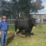 Podcast: Getting started in AI in commercial beef herds