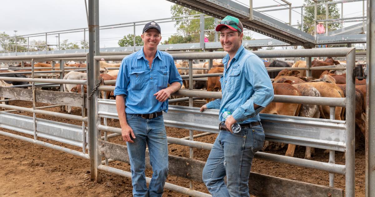 Hughenden producer restocks after stellar season