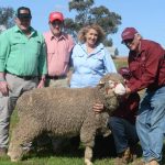 Kamballie Poll Merino values reach $9750 | Farm Weekly