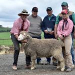 The Yanko sells 99 Merino and Poll Merino rams