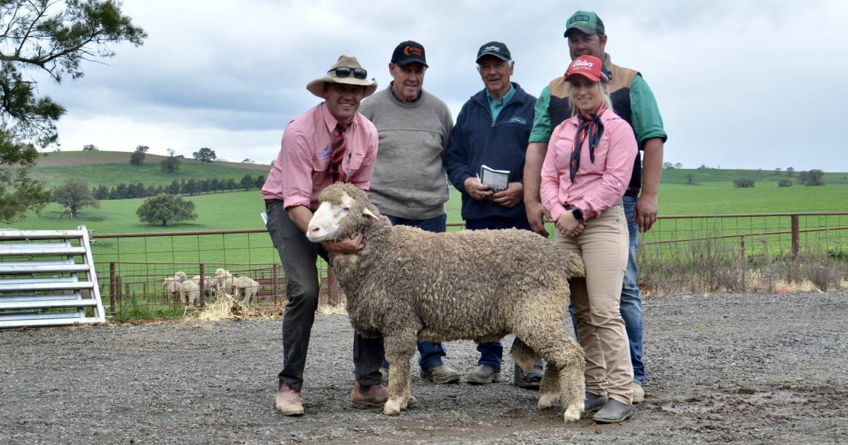 Loyal volume buyers once again feature at Rocklyn Merinos