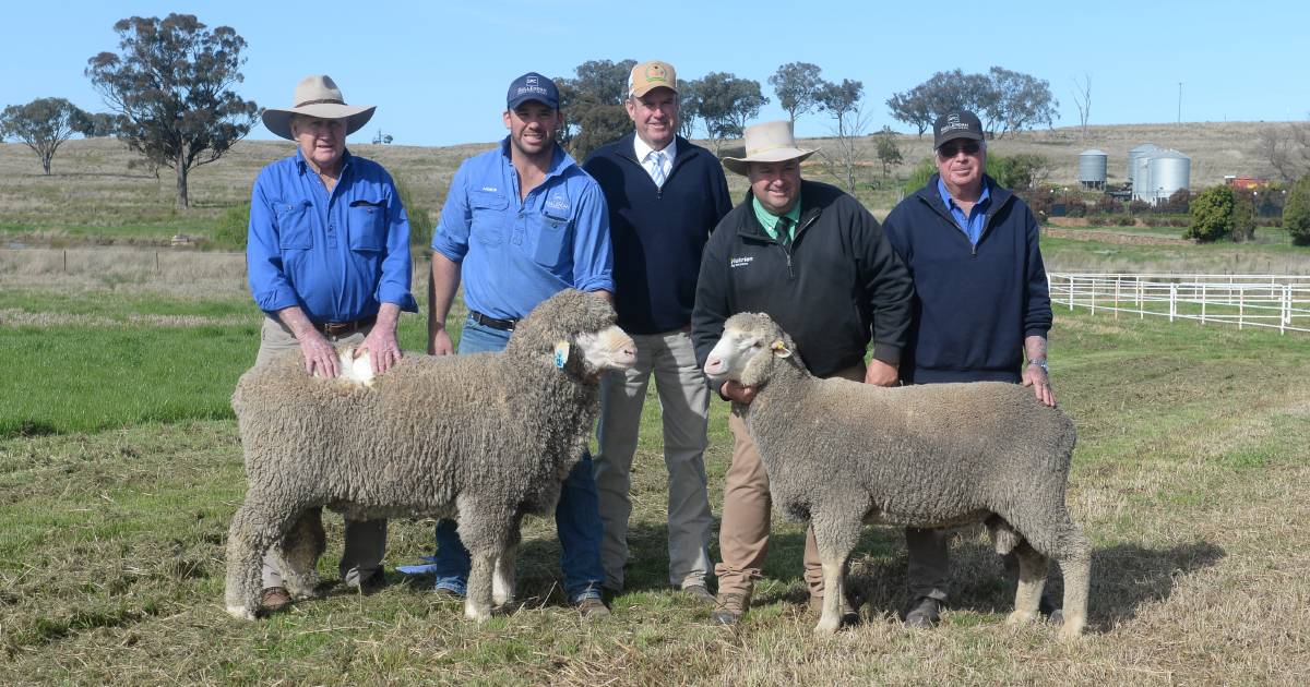 Strong interstate presence in Gullendah's 40th Annual On Property Ram sale