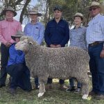 Official photographer Andrew Roberts captures thrills and spills at Ariat APRA National Finals Rodeo | Queensland Country Life