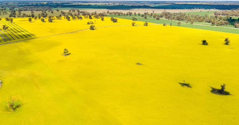 High calibre cropping, breeding and fattening country with a $40 million price tag | Video