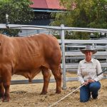 Governments announce specialised resilience officers for natural disaster recovery | Queensland Country Life