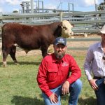 Beef exports take center stage