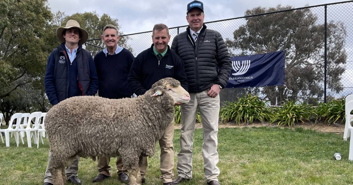 Yarrawonga Merinos sold 280 | The Land