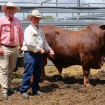 Mammoth crowds for final day at Henty