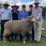 Loyal volume buyers once again feature at Rocklyn Merinos