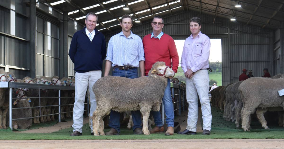 Kerin Poll's sale gross of $2.137 million a record for Merino industry