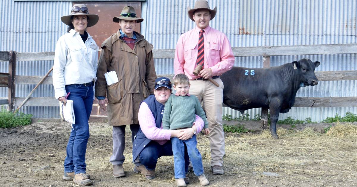 Noonee Angus doubles its previous record top price