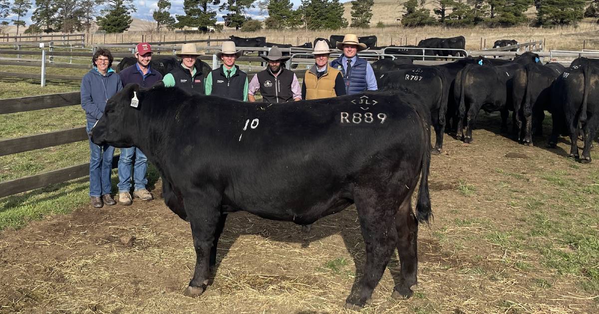 Hazeldean Angus has amazing bull sale