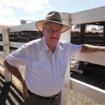 Dalby sale 14 Sep 2022: Market mostly firm for 2395 head