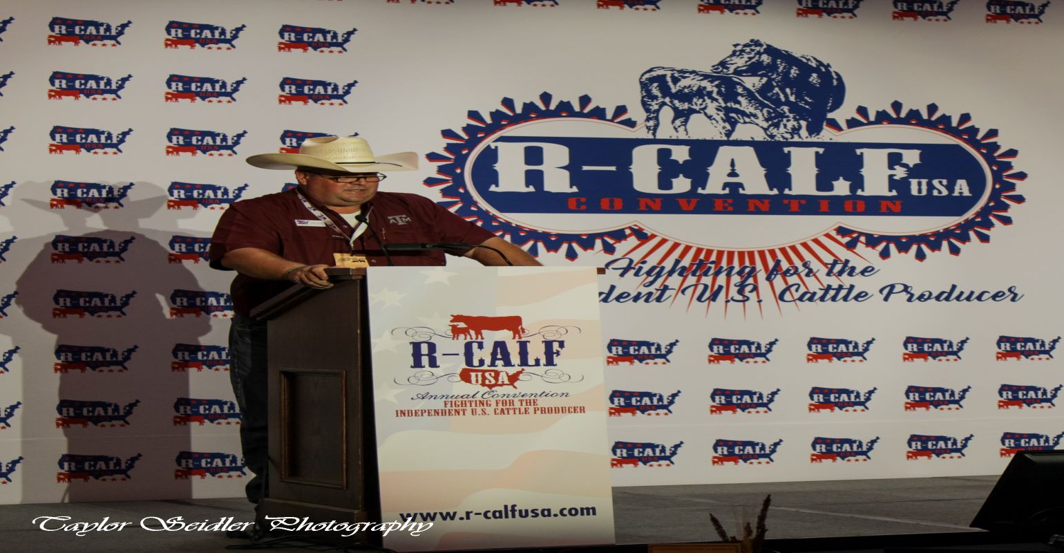 R-CALF USA holds annual convention