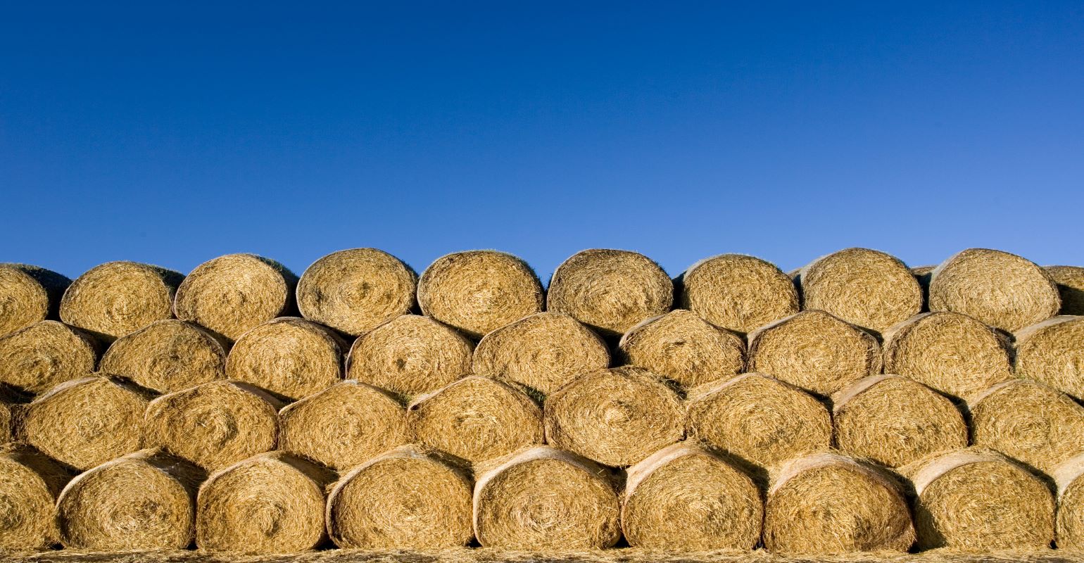 Minimizing storage losses of round bale hay