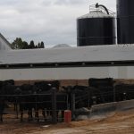 August pork exports trend higher as beef exports top $1b