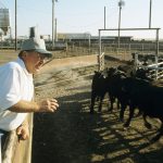 Opening day of Rockhampton Brahman Week grosses more than $4 million