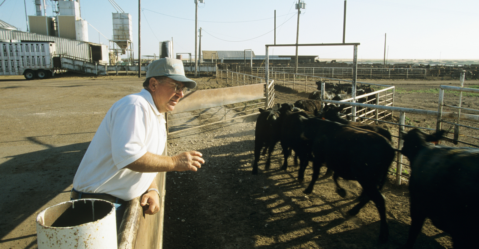 Farmers face new reality in beef supply chain