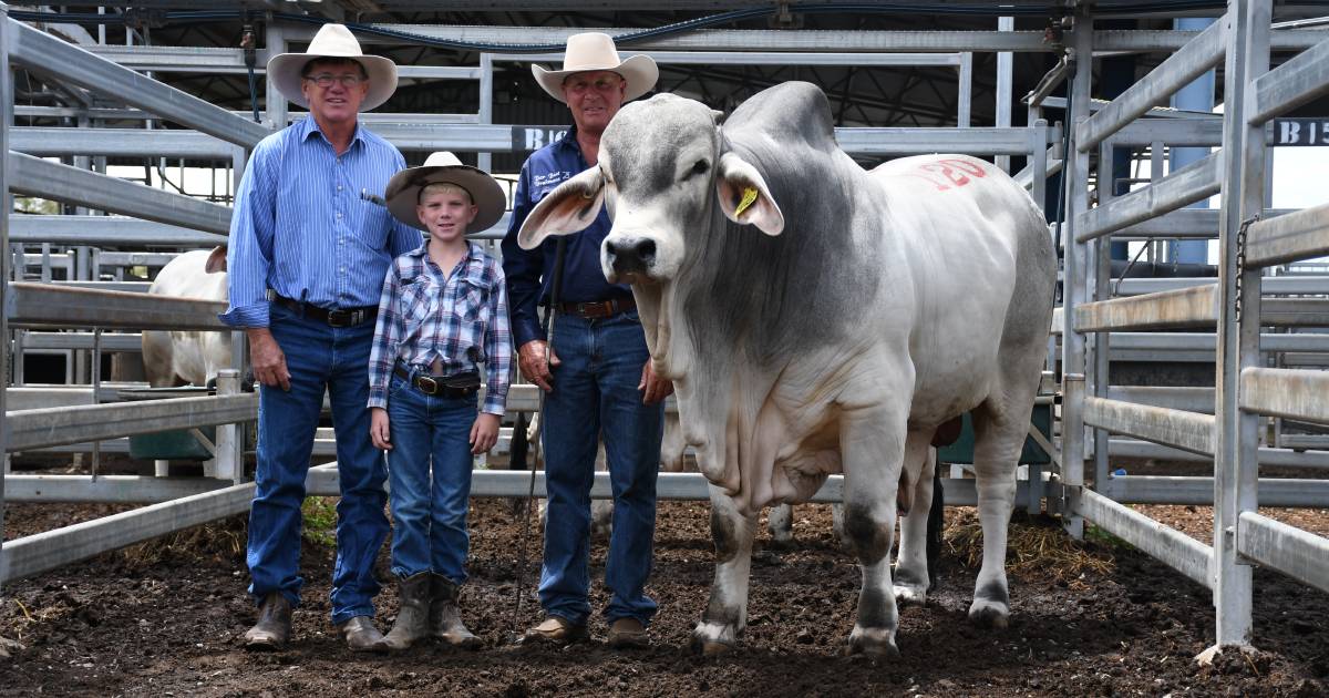 Opening day of Rockhampton Brahman Week grosses more than $4 million