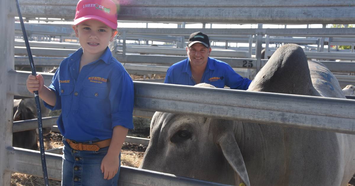 Faces on day two of Rockhampton Brahman Week Sale | Photos