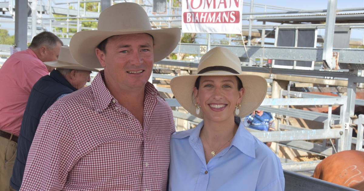 Faces on final day of Rockhampton Brahman Week Sale | Photos