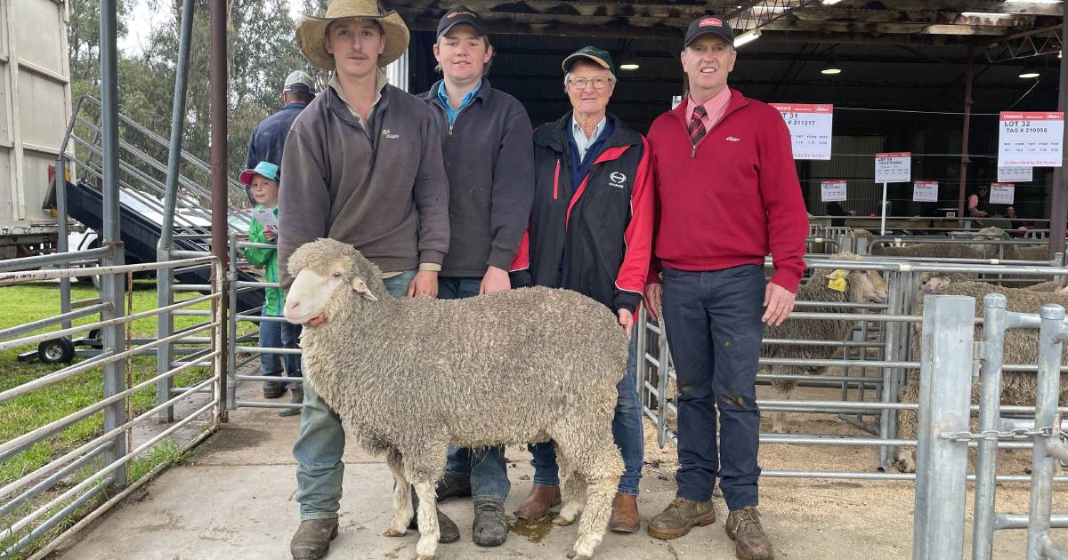 Blyth Merinos supported by return buyers