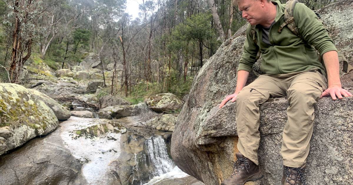 Monitoring reveals quoll survival secrets | The Land