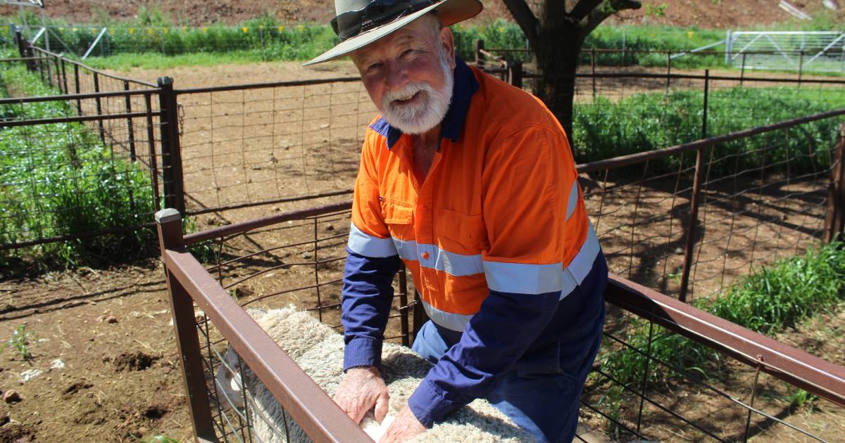 Wool yields higher in solar farm trial