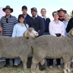 It was a buyers market at the annual Glenlea Beef Clermont bull sale