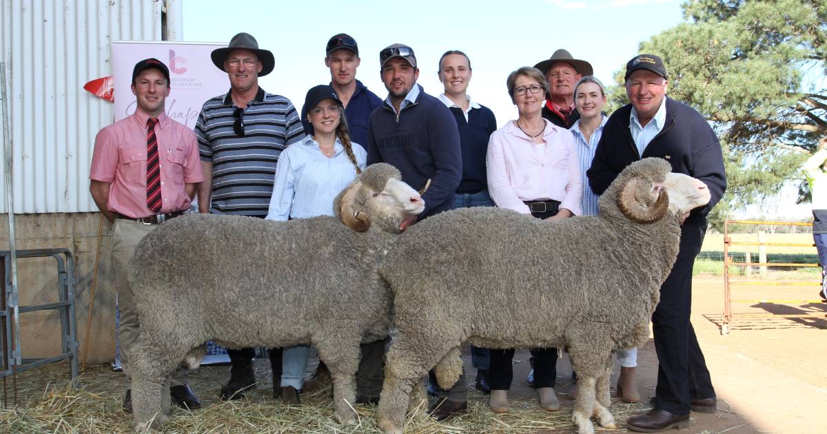 Woodyarrup Merino and Poll Merino stud, Broomehill, averages $2729 at ram sale | Farm Weekly