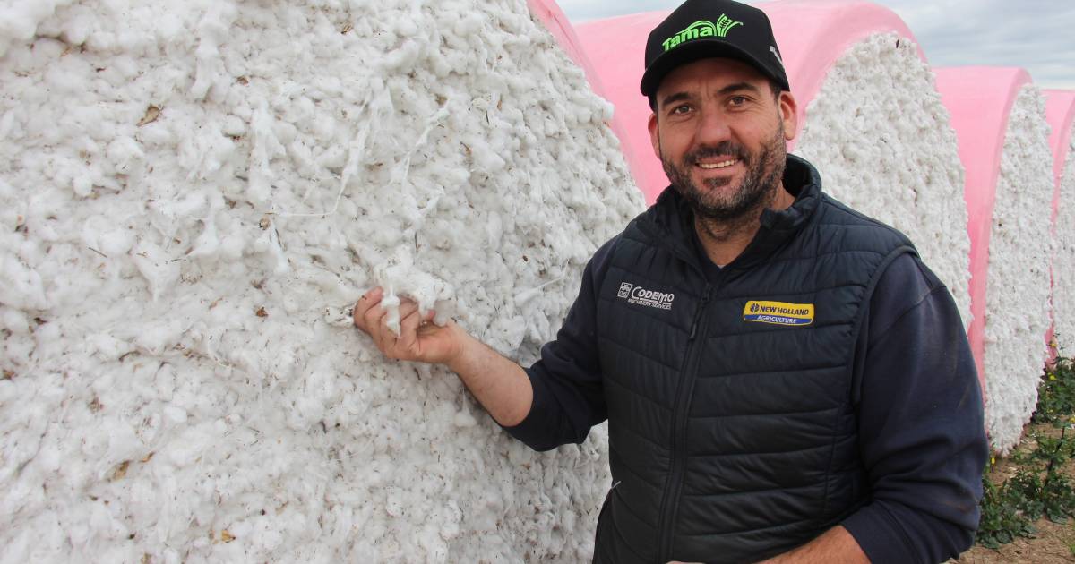 Cotton farmers go pink for breast cancer awareness month